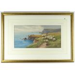 TOM ROWDEN watercolour - herding the sheep along the coastal path, signed, 19 x 39cms
