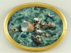 ANDREW DOUGLAS FORBES oil on board - birds eggs, signed, oval, 23cms wide