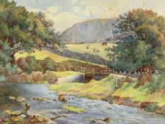 JEAN BROWN watercolour - riverscape with distant cattle grazing, signed and dated 1905, 25 x 36cms