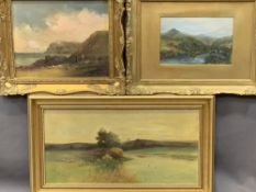 THREE OILS - 1. oil on canvas - river scene with sheep, unsigned, 24 x 49cms, 2. oil on canvas -