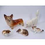 ROYA DOULTON MODELS OF CATS (4), 18cms the largest and a Melba ware Corgi