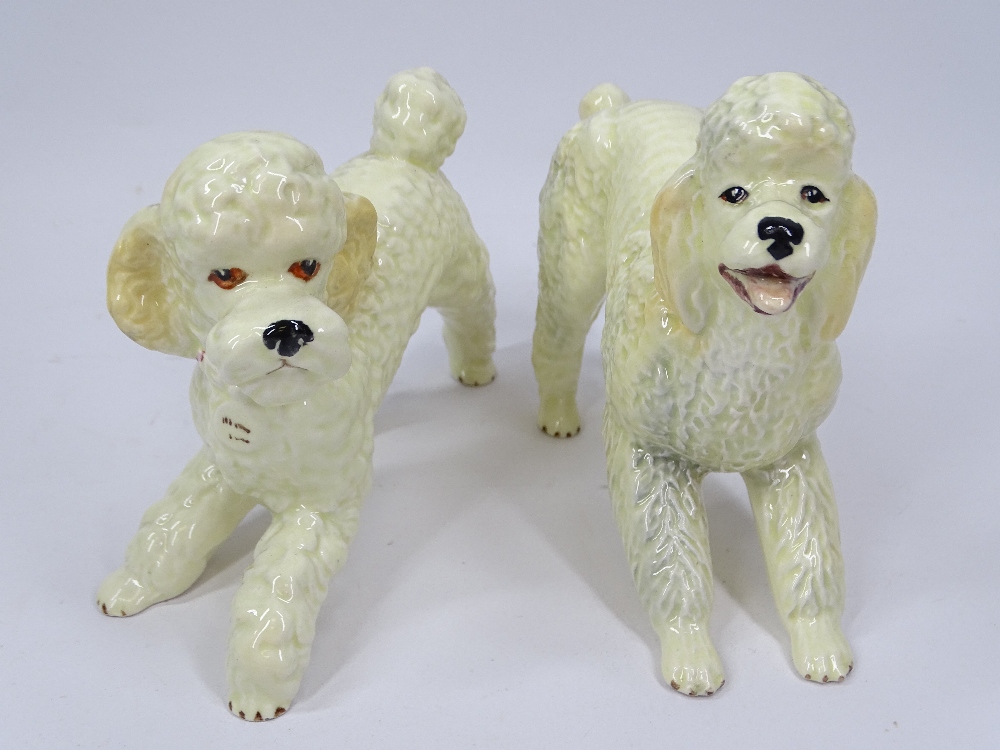 SYLVAC POODLES, A PAIR