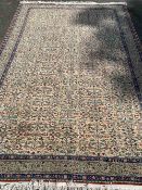 INDIAN STYLE WOOLLEN RUG with tasselled ends, 295 x 198cms