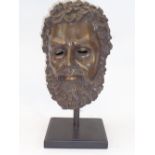 REPRODUCTION BRONZE ANTIQUITIES STYLE HEAD - a bearded man mounted on a wooden base, 46cms H