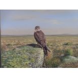 HAYWOOD watercolour - hawk perched on a rock on the Moors, signed, 31 x 41cms