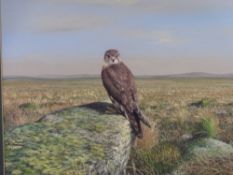 HAYWOOD watercolour - hawk perched on a rock on the Moors, signed, 31 x 41cms