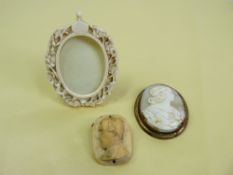 SHELL CARVED CAMEO IN GILT METAL MOUNT, bone carved brooch, possibly Napoleon, and a carved ivory