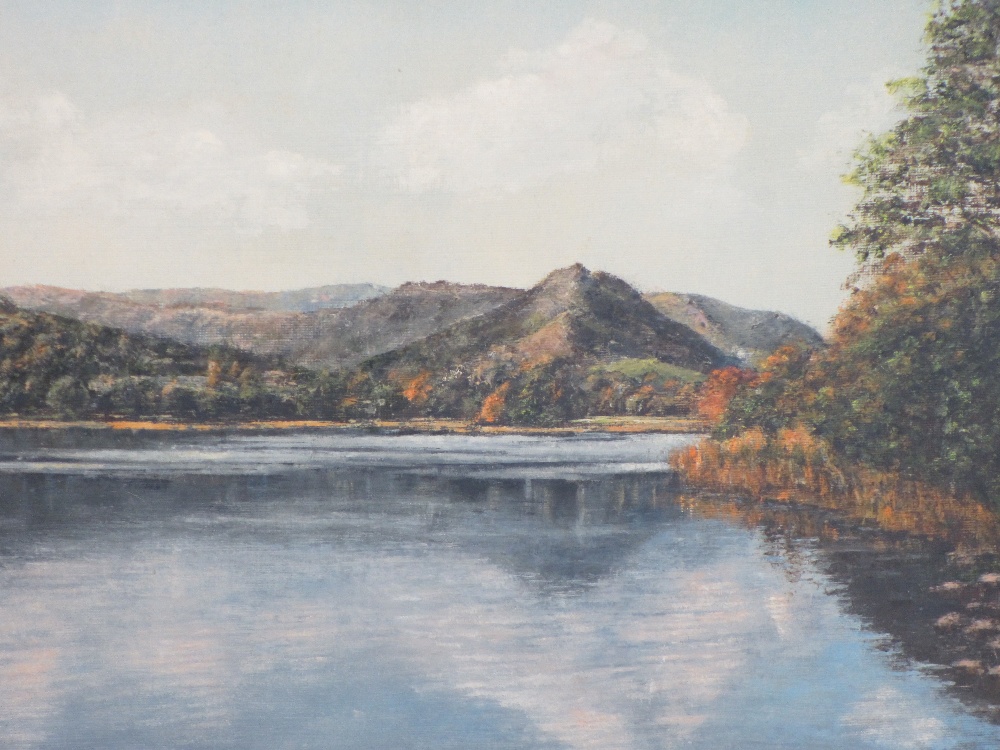 MODERN OILS ON BOARD (3) - C W JOHNSON - river scene, 29 x 39cms, WALSH - 'Grasmere', 29 x 39cms and - Image 4 of 7