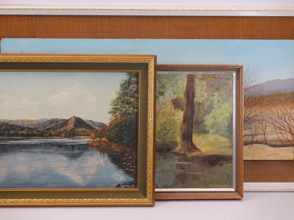 MODERN OILS ON BOARD (3) - C W JOHNSON - river scene, 29 x 39cms, WALSH - 'Grasmere', 29 x 39cms and