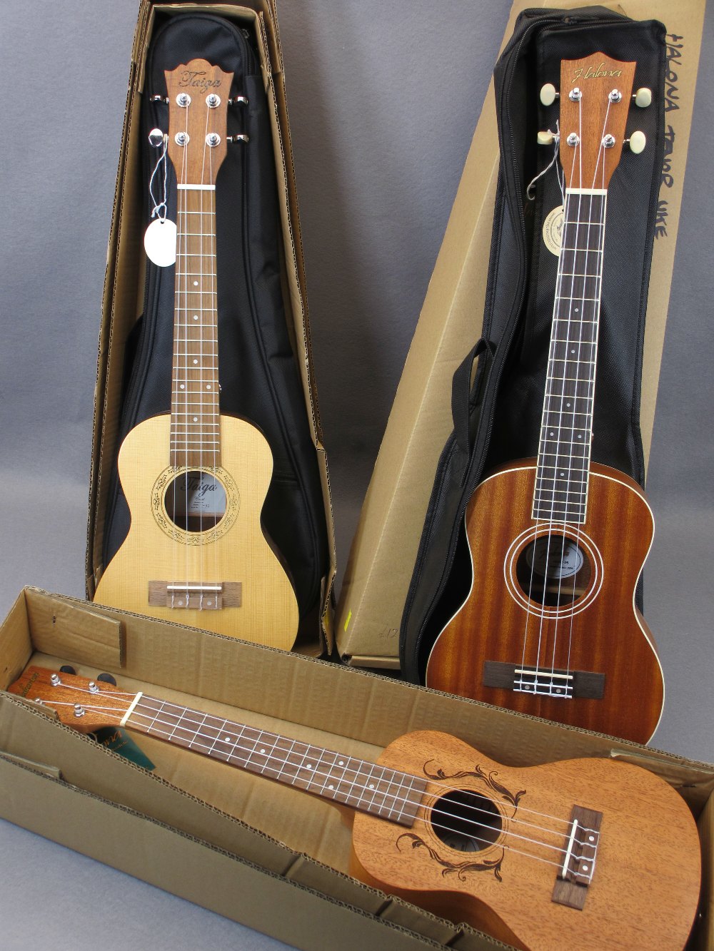 *MUSIC SHOP STOCK - Taiga & Halona ukuleles (3) including a Taiga Coral Model T-32 with canvas case,