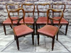SET OF SIX VICTORIAN WALNUT BUCKLE BACK DINING CHAIRS with scroll carved cross bars and moulded seat