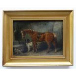 HENRY S. COTTRELL (active 1840-1860) oil on panel - Bay Pony and Spaniels, signed, 13 x 18.5cms