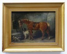 HENRY S. COTTRELL (active 1840-1860) oil on panel - Bay Pony and Spaniels, signed, 13 x 18.5cms