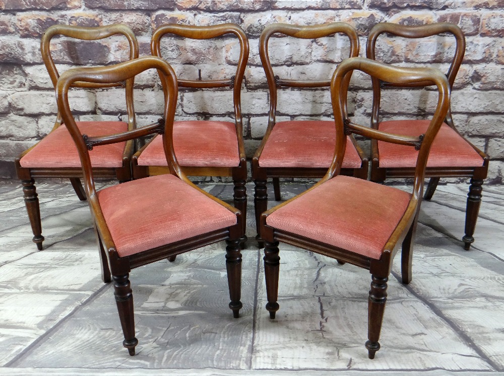 SET OF SIX VICTORIAN WALNUT BUCKLE BACK DINING CHAIRS with scroll