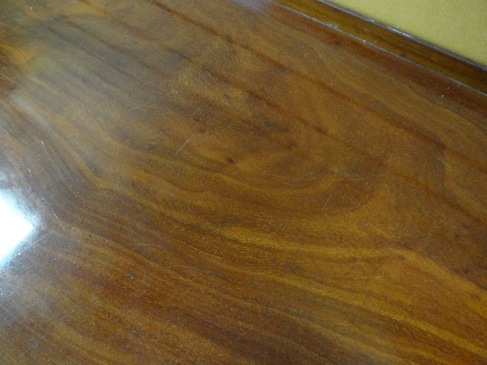 GOOD 19TH CENTURY REGENCY STYLE MAHOGANY & EBONY STRUNG SERVING TABLE, rectangular top with low - Image 31 of 33