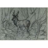 CHARLES FREDERICK TUNNICLIFFE OBE RA preliminary drawing in charcoal - stag in woodland, signed,