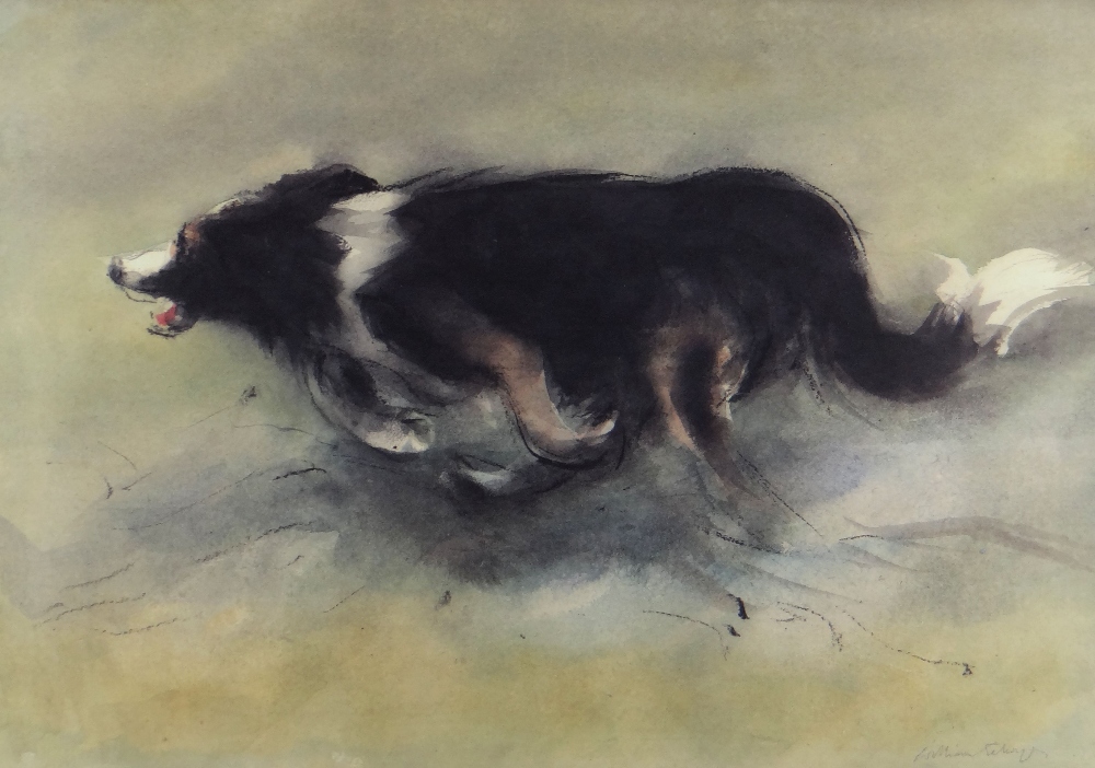 WILLIAM SELWYN limited edition (74/500) colour print - sheep-dog, signed fully in pencil, 42 x