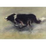 WILLIAM SELWYN limited edition (74/500) colour print - sheep-dog, signed fully in pencil, 42 x