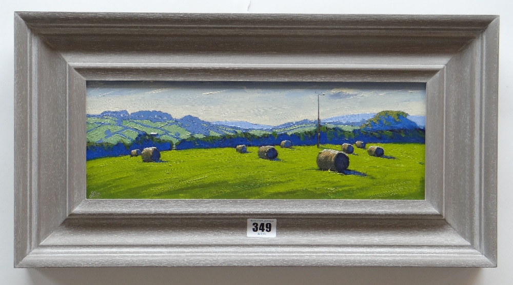 THOMAS HASKETT oil on board - landscape with hay bales, entitled verso 'Round Bales near Penrhos', - Image 2 of 2