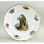 A FINE SWANSEA LONDON DECORATED PORCELAIN PLATE of small size and having a moulded border with c-