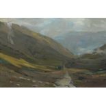 IEUAN MEIRION PUGH oil on canvas - valley landscape, signed, 48 x 71cms Provenance: private