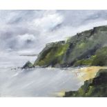 DAVID SHANAHAN oil on canvas - entitled verso 'Pembrokeshire Coast', signed, 49 x 59cms