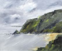 DAVID SHANAHAN oil on canvas - entitled verso 'Pembrokeshire Coast', signed, 49 x 59cms