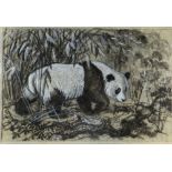 CHARLES FREDERICK TUNNICLIFFE OBE RA preliminary drawing in mixed media - study of a panda, 47 x