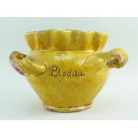 A SMALL 19TH CENTURY EWENNY SLIPWARE POTTERY JARDINIERE BY EVAN JONES with crimped neck and twisting