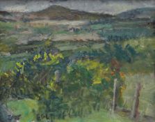 EDWARD LEWIS (1936-2018) oil on canvas - mountain landscape, entitled verso 'Rhigos', signed and