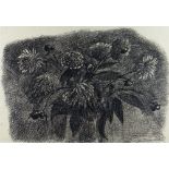 CHARLES BURTON ink on paper - study of chrysanthemums, signed, 31.5 x 46cms Provenance: private