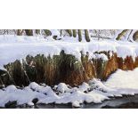 DAVID COWDRY oil on board - Kingfisher perched in snowy river-landscape, signed lower right and