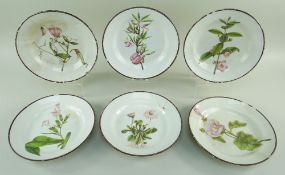 SIX SWANSEA PEARLWARE BOTANICAL PLATES BY THOMAS PARDOE circa 1802-1810, each botanical study