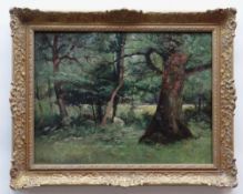 JOHN CUTHBERT SALMON RBA RCA oil on canvas - woodland with grazing cows, signed, 44 x 60cms