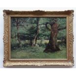 JOHN CUTHBERT SALMON RBA RCA oil on canvas - woodland with grazing cows, signed, 44 x 60cms