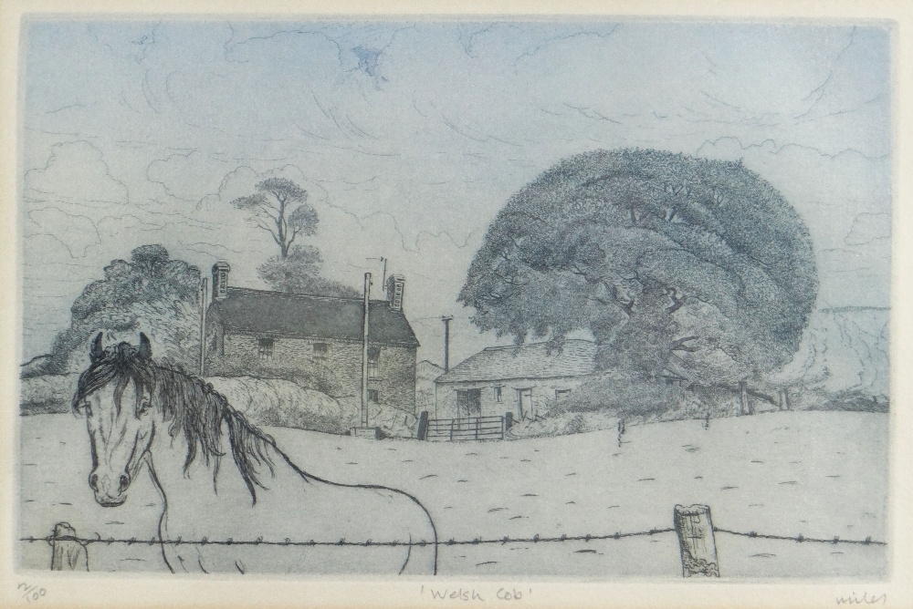 GORDON MILES limited edition (2/100) monocolour etching - titled in pencil 'Welsh Cob', signed, 20 x