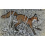 CHARLES FREDERICK TUNNICLIFFE OBE RA preliminary drawing in mixed media - fox in undergrowth, 43 x