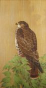 CHARLES FREDERICK TUNNICLIFFE OBE RA (1901-1979) watercolour painted on Japanese silk - buzzard