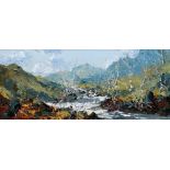 CHARLES WYATT WARREN oil on board - entitled verso 'The Glaslyn Near Nant Gwynant', signed, 24 x