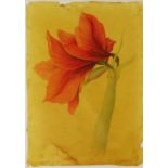 SIGRID MULLER mixed media - 'Amaryllis', signed, 34 x 24cms Provenance: from the collection of the