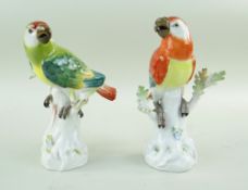 TWO MEISSEN PORCELAIN MODELS OF PARROTS, 20th Century, perched on tree stumps with sprouting leaves,