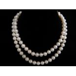 CULTURED PEARL SINGLE STRAND NECKLACE, with 14ct diamond clasp, pearls approximately 7mms