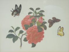 JOHN MALCOLM watercolour studies (3) and four framed prints of flora and butterflies After The