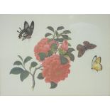JOHN MALCOLM watercolour studies (3) and four framed prints of flora and butterflies After The