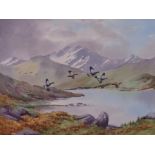 LOT WITHDRAWN - CECIL HODGKINSON watercolour - title verso 'Black Grouse', Llyn Mymbyr,