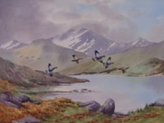 LOT WITHDRAWN - CECIL HODGKINSON watercolour - title verso 'Black Grouse', Llyn Mymbyr,