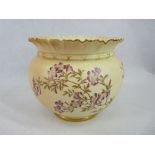 ROYAL WORCESTER PORCELAIN JARDINIERE - 1651 pattern, blush decorated with gilt highlighted floral