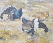 GWENDOLYN RAVEN & JOHN LAURENCE framed watercolour studies (2) depicting - Black Grouse, 26 x