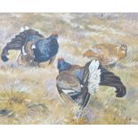 GWENDOLYN RAVEN & JOHN LAURENCE framed watercolour studies (2) depicting - Black Grouse, 26 x