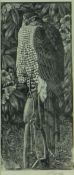 CHARLES FREDERICK TUNNICLIFFE OBE RA (1901-1979) limited edition monochrome wood engraving on